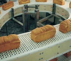 食品鏈板輸送機(jī)